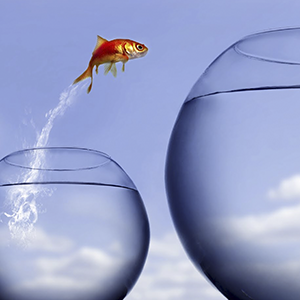 In 4 stappen uw nieuwe business met new business development.